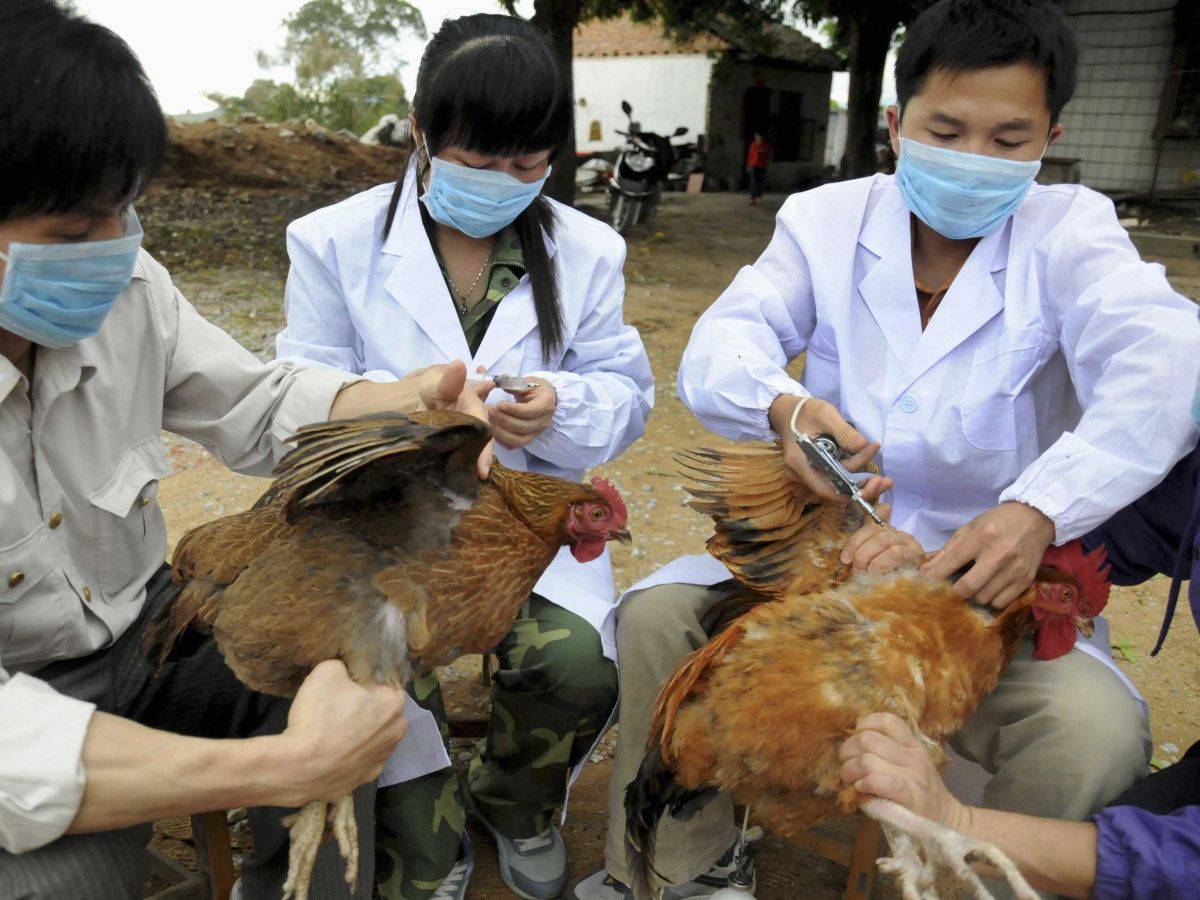 China has already banned poultry imports from more than 60 countries