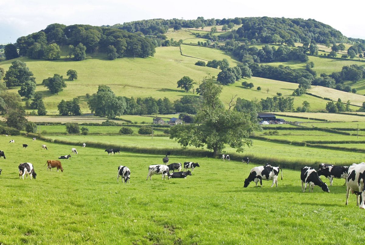 UK farmers will now start to look at what could face them in 2017