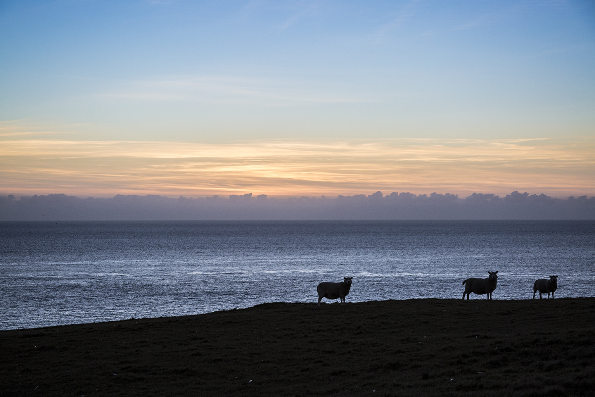 'Brexit is clearly causing uncertainty – and some farmers have told us that means they are thinking of retiring earlier than planned'