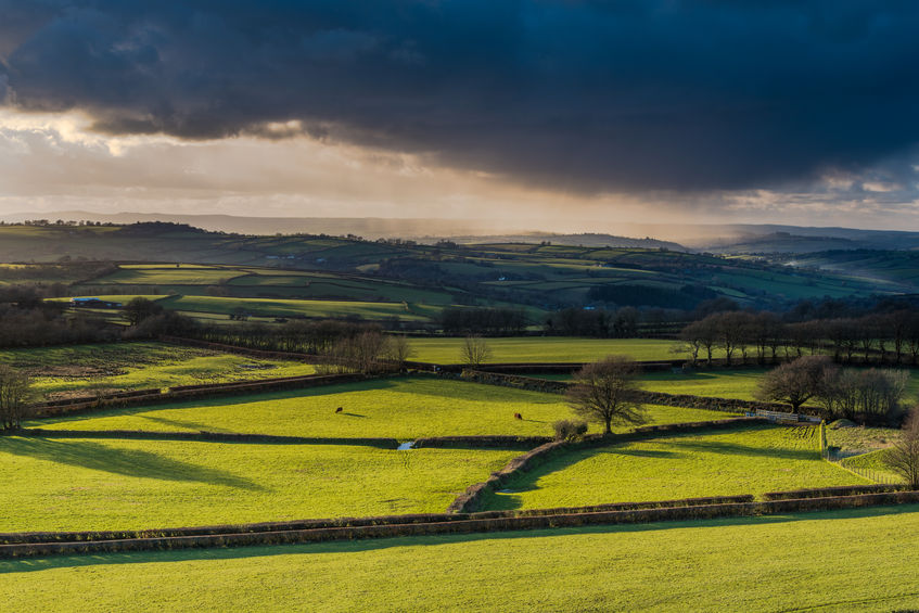 The report acknowledges UK farmers face a ‘triple jeopardy’ from changes in the UK’s trading relationships negotiated after Brexit