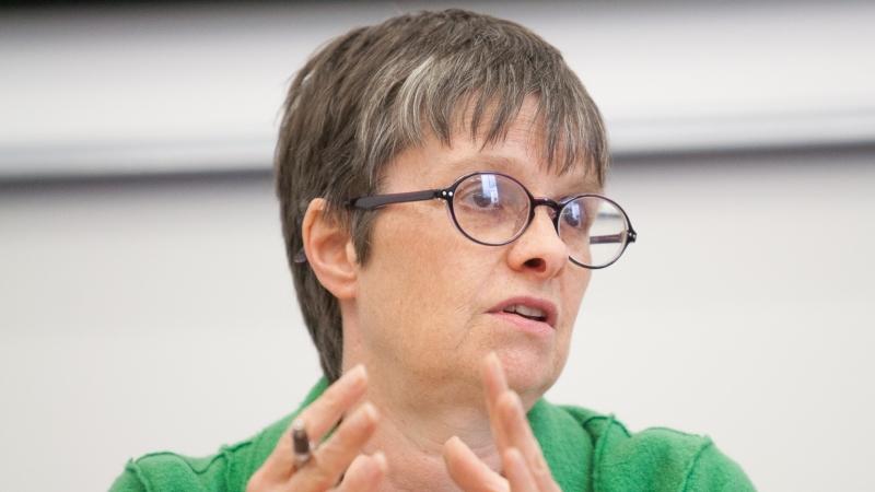Molly Scott Cato said her worst fears about a post-Brexit farming landscape 'are being realised'