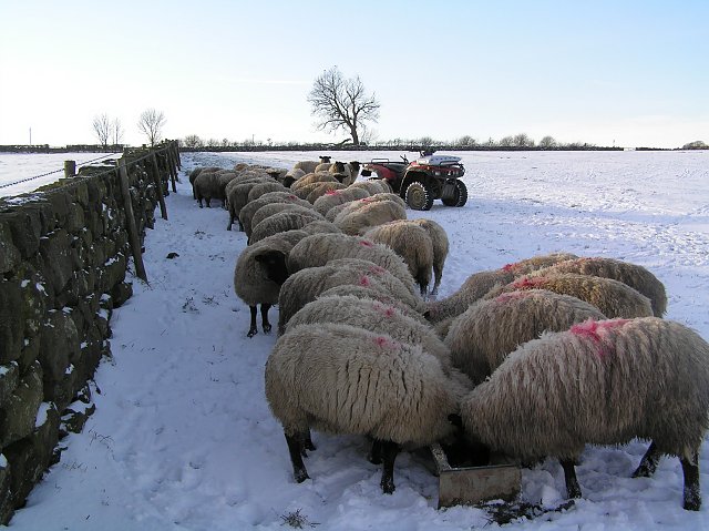 Rural areas of the UK are bracing for snow
