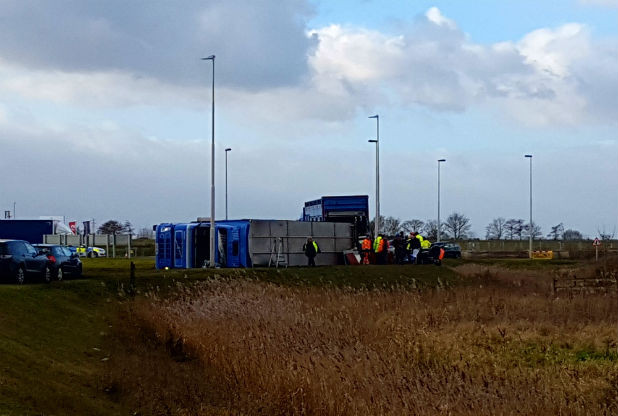Pigs have been killed at the roadside after a livestock lorry overturned on the A16 (Photo: Lincolnshire Live)