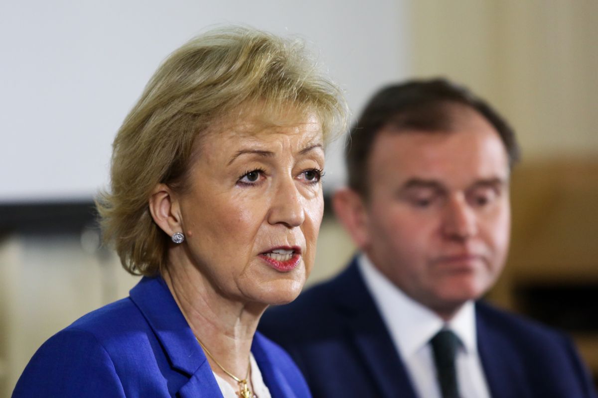 Defra secretary Andrea Leadsom has said she wants to make a success of the farm industry during Brexit