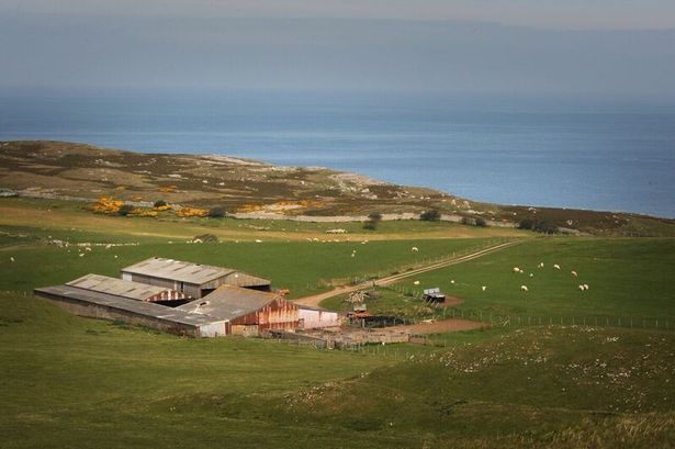 £1 Great Orme tenant to reintroduce sheep at £1m Parc Farm