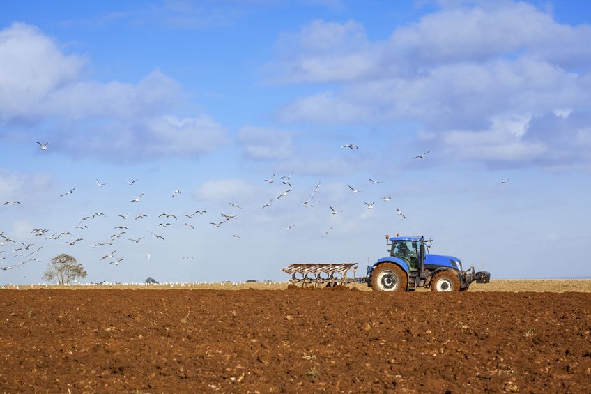 The TFA says it wants to see a better formulated, outcome focused agri-environment scheme