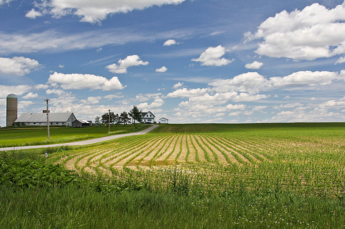 Rural communities have taken the task of creating better broadband services into their own hands (Image by cjuneau used under CC license)