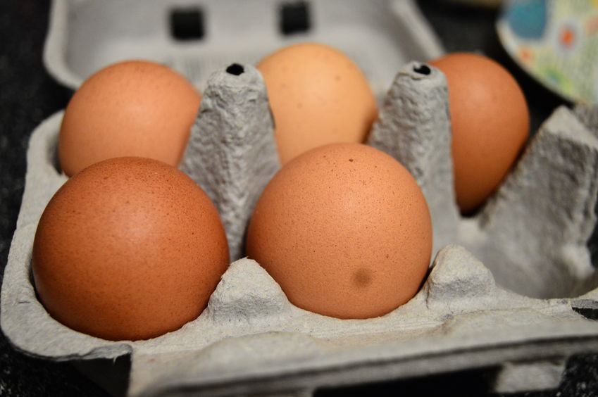 The egg industry is calling for the 12-week cut-off to be extended, or else producers will lose their free-range status