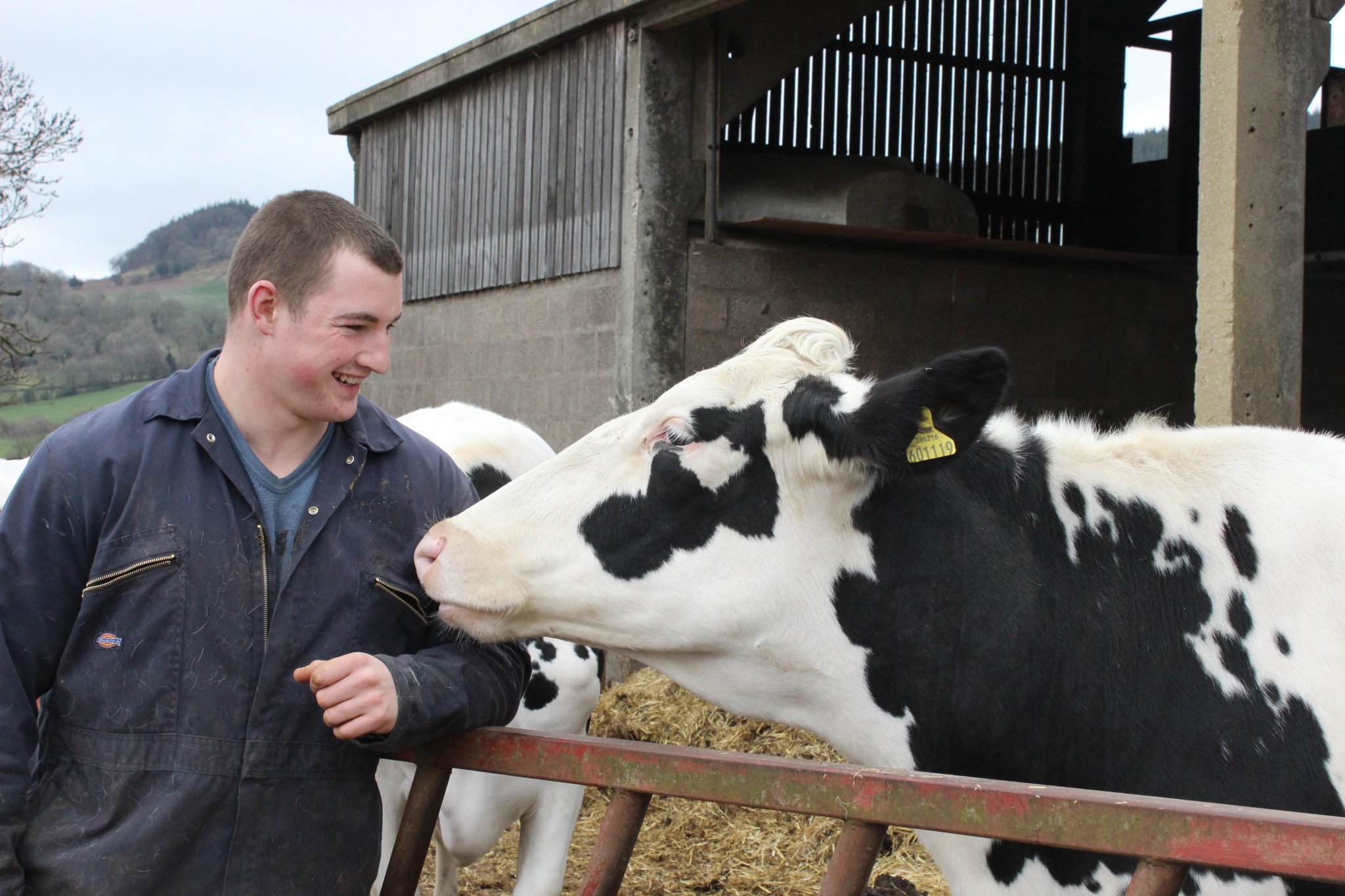 Campaigners behind the Enjoy Milk cause believe they have a new future for British Dairy cows