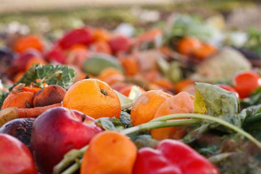 In the UK alone last year, over 10 million tonnes of food was thrown away