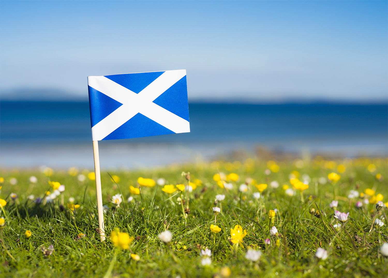 Scottish farming will have to become less dependent on UK support after Brexit, AHDB warned