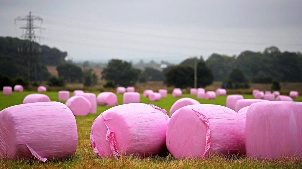 Money from the sales of each roll have raised more than £36,000 since it was first launched in 2015