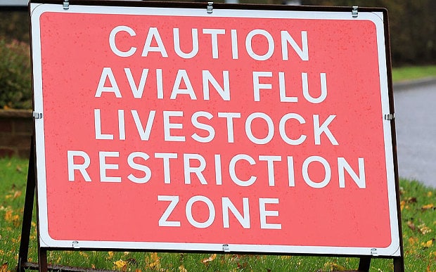 The proactive culling of 63,000 birds, including pheasants, partridges and ducks, will take place