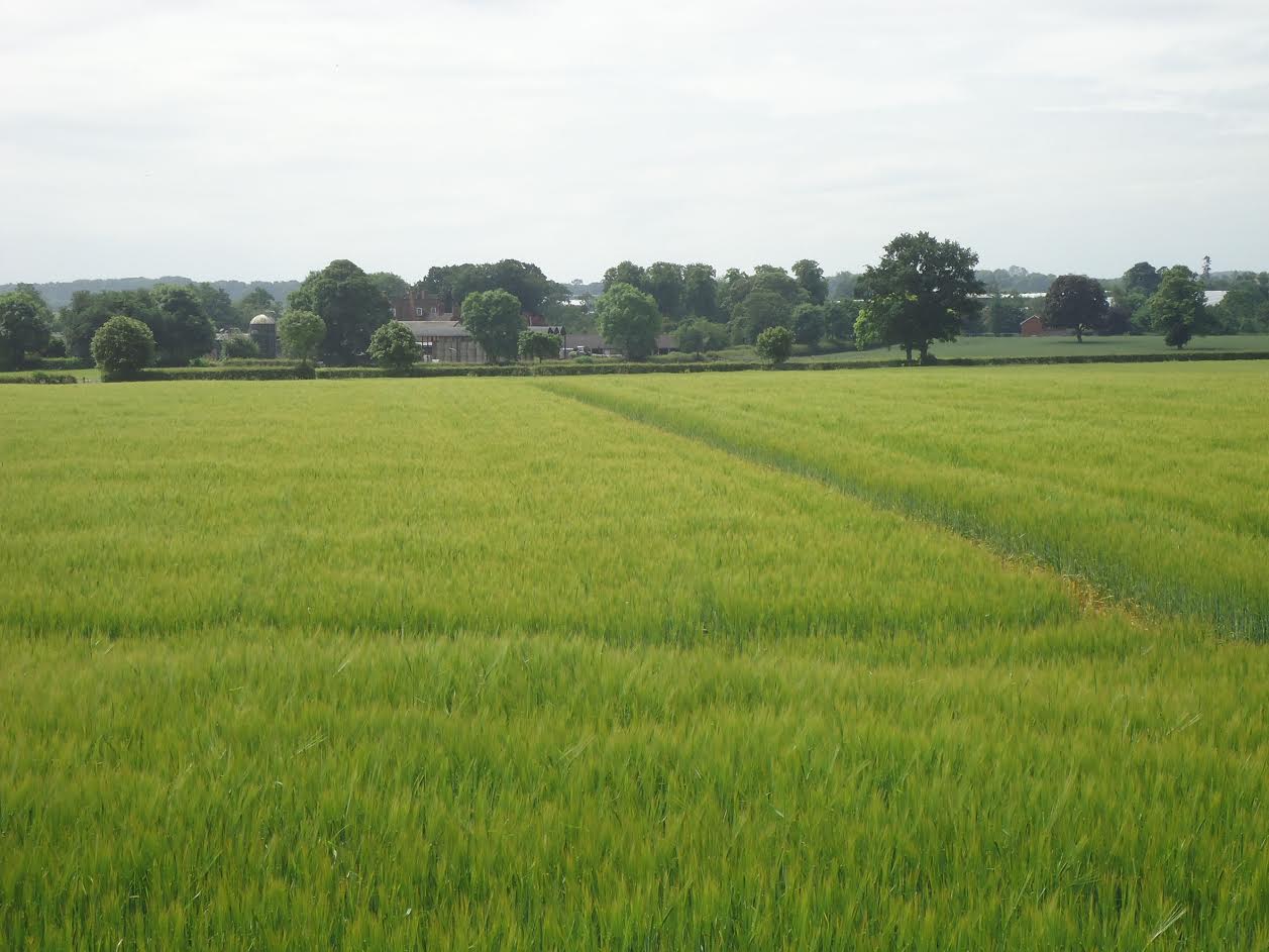 Cheap Land West Midlands at Caleb Caldwell blog