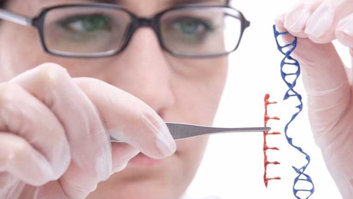 Tuberculosis-resistant cows developed for the first time using CRISPR gene-editing technology