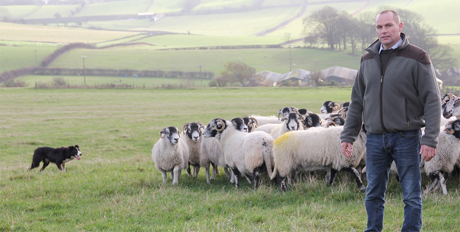 Phil Stocker, National Sheep Association Chief Executive, said a trade agreement would send a larger amount of sheep meat to UK retailers