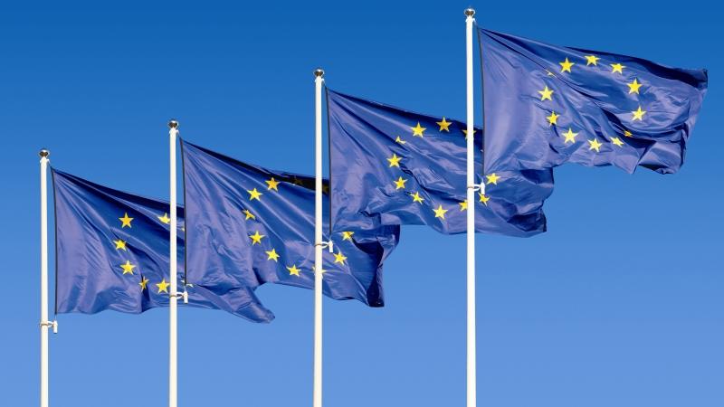 Farmers now have three months to share their experiences and ideas to help shape future EU policy
