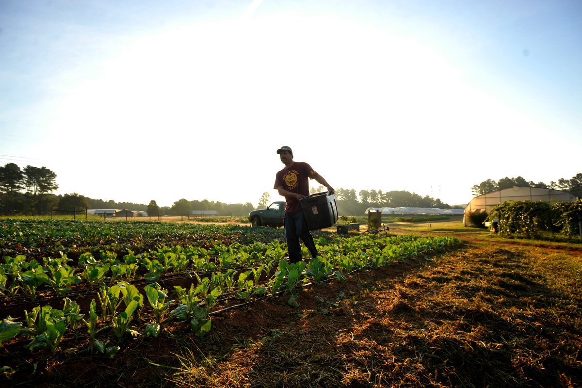 Soil Association Scotland can certify organic farmers, and are welcoming applications with a new support package