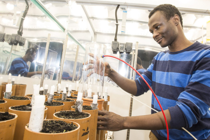 Samuel Musarika, one of the Sheffield University researchers involved in the study