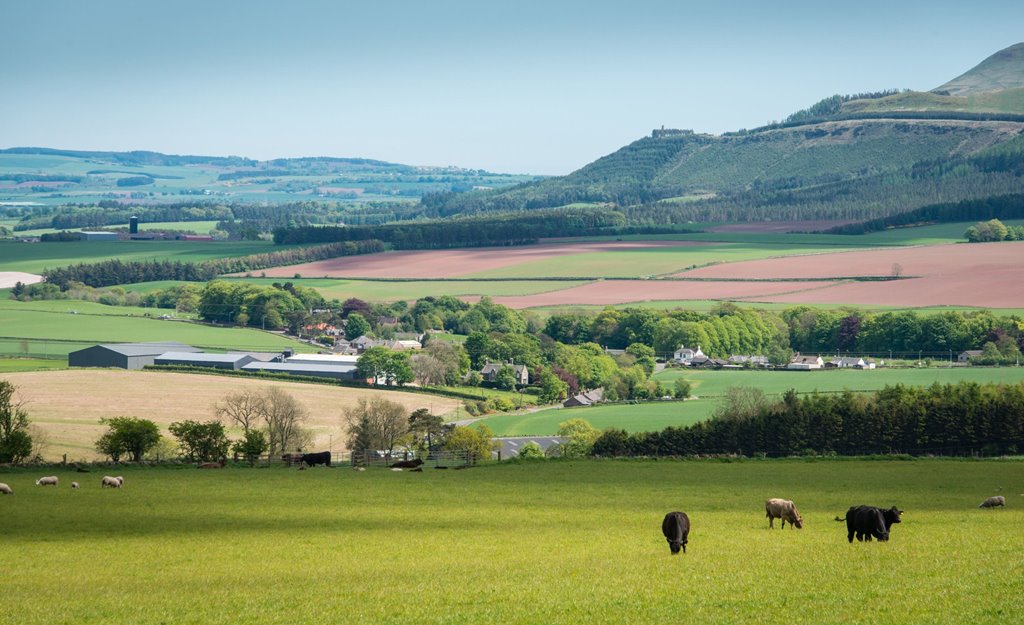 The charity says that 'unsustainable farming practices' are reducing the efficiency of the UK food sector