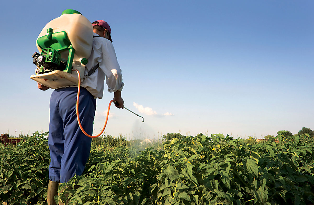 The production of fake pesticides costs EU businesses €1.3 billion each year