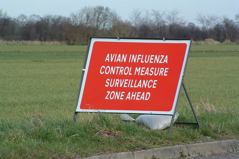 The affected premises is estimated to contain approximately 23,000 broilers in a housed unit