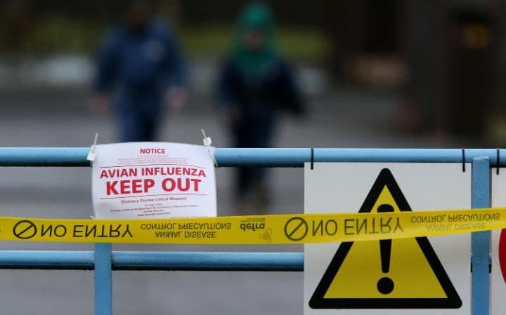 The new Avian Influenza Prevention Zone requires all keepers to complete a self assessment of biosecurity measures on their premises