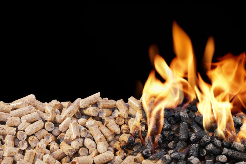 The scheme offered financial incentives to farmers to use biomass boilers that mostly burned wood pellets