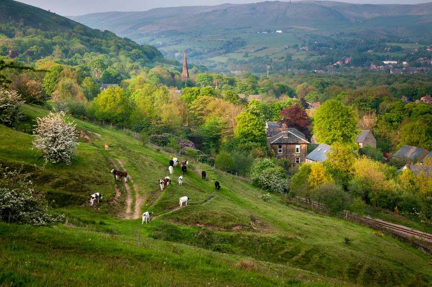 Tenant farmers in Herefordshire are saying they are 'devastated' after being told by the council to leave their farms (Photo: Herefordshire farmland)