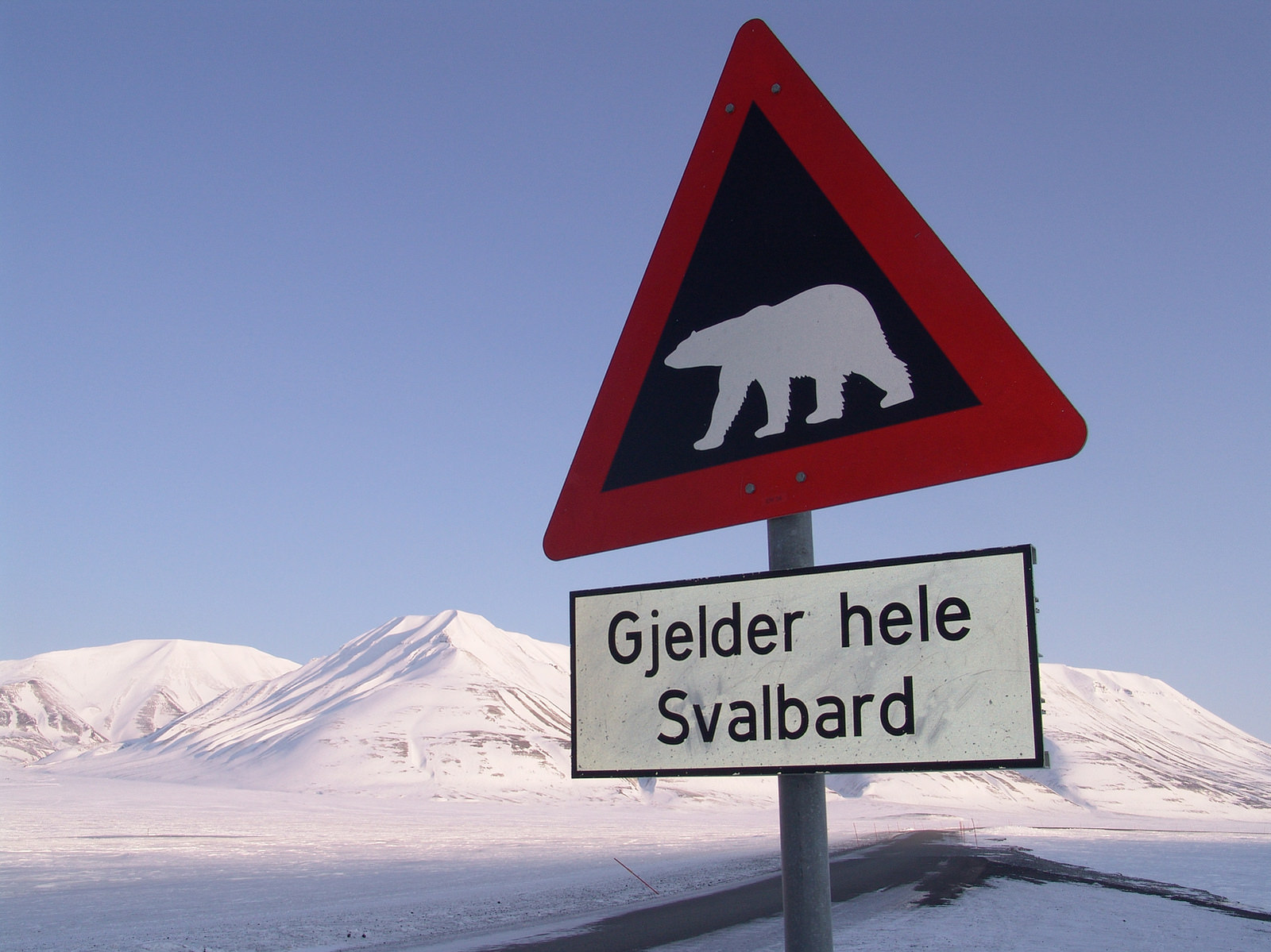 Without support for diverse varieties of food crops - like that in Svalbard - the future of the world’s global food supply could be at risk