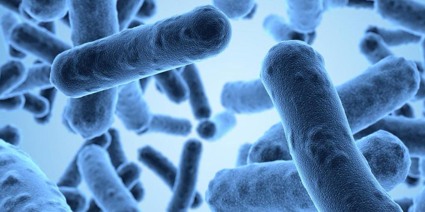 Antimicrobial resistance is an 'alarming threat' putting human and animal health in danger, according to the EU
