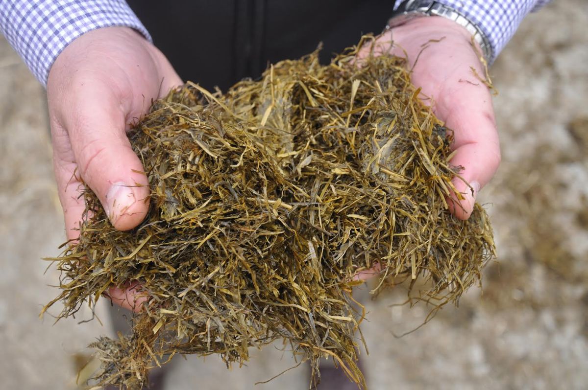 Producing good grass and good silage makes a lot of sense for improving farm business sustainability, says Derek Nelson of Volac