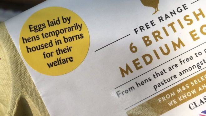 The industry has decided to label free range egg cartons with stickers stating the contents were "laid by hens temporarily housed in barns for their welfare"