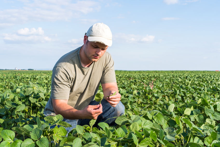 The Scottish government has been identifying organisations and opportunities to increase the amount of land available for younger farmers