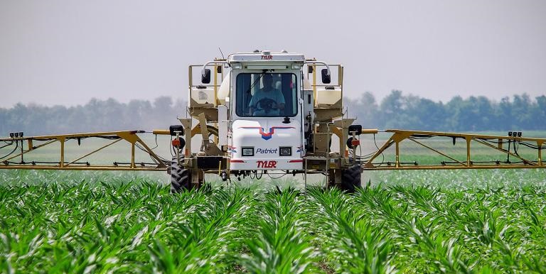 Illegal pesticides have seen loss of farmland in Poland worth 3 million Euros as a direct result
