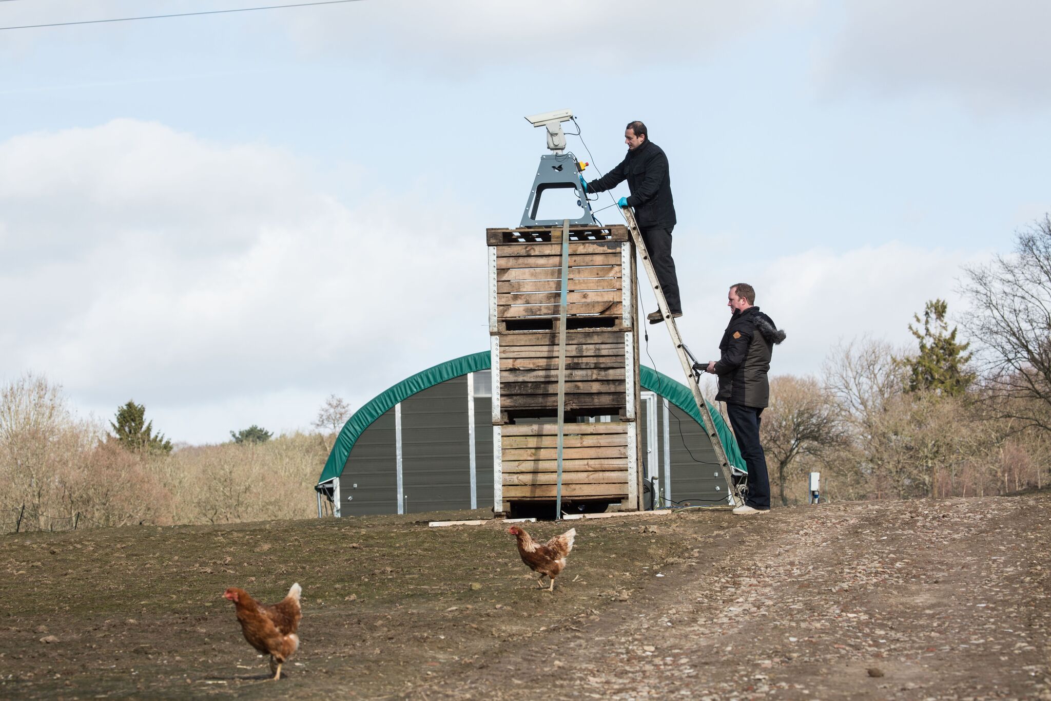 The automated laser is an innovative method of repelling unwanted birds