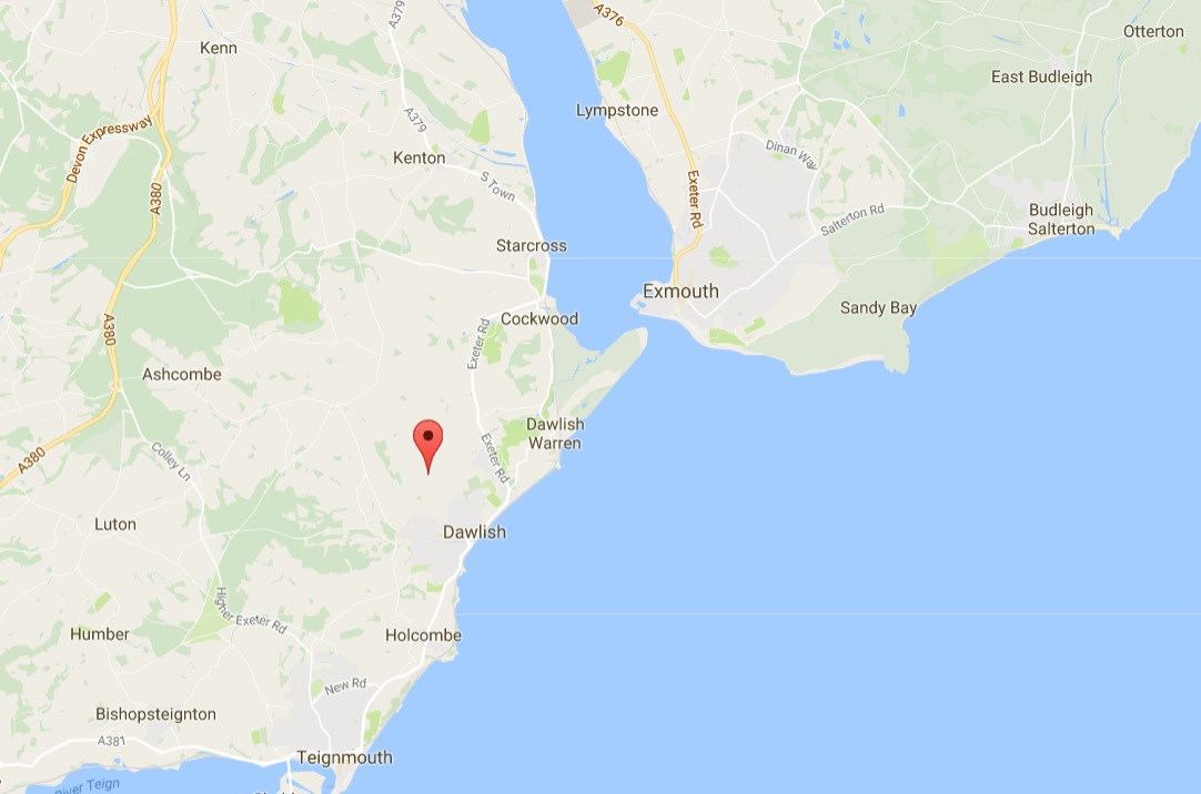 The woman was killed on Langdon Road, near Dawlish in Devon (Photo: Google Maps)