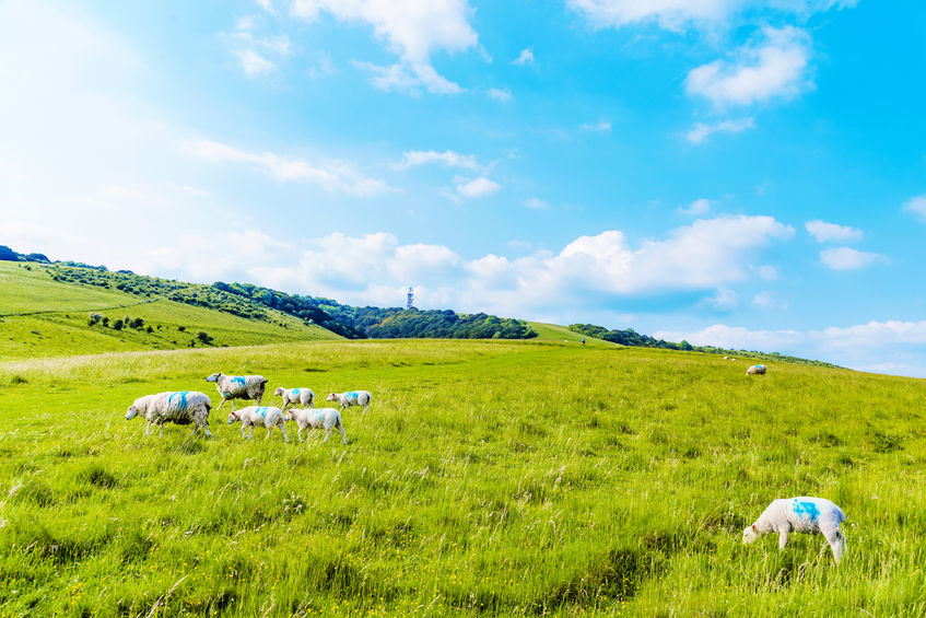 Experts say a national approach to land use can unite environment and economy