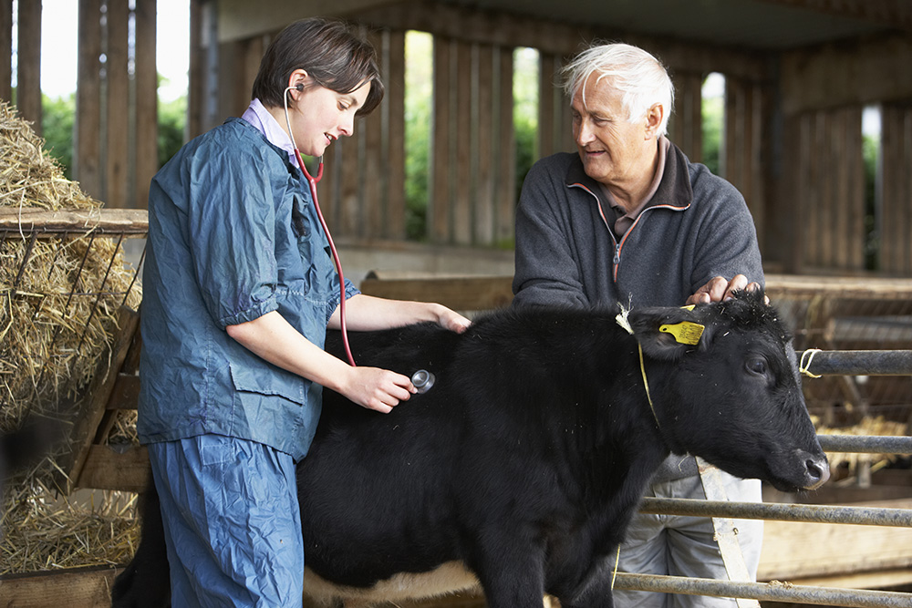 The European Commission has created a dedicated animal welfare platform
