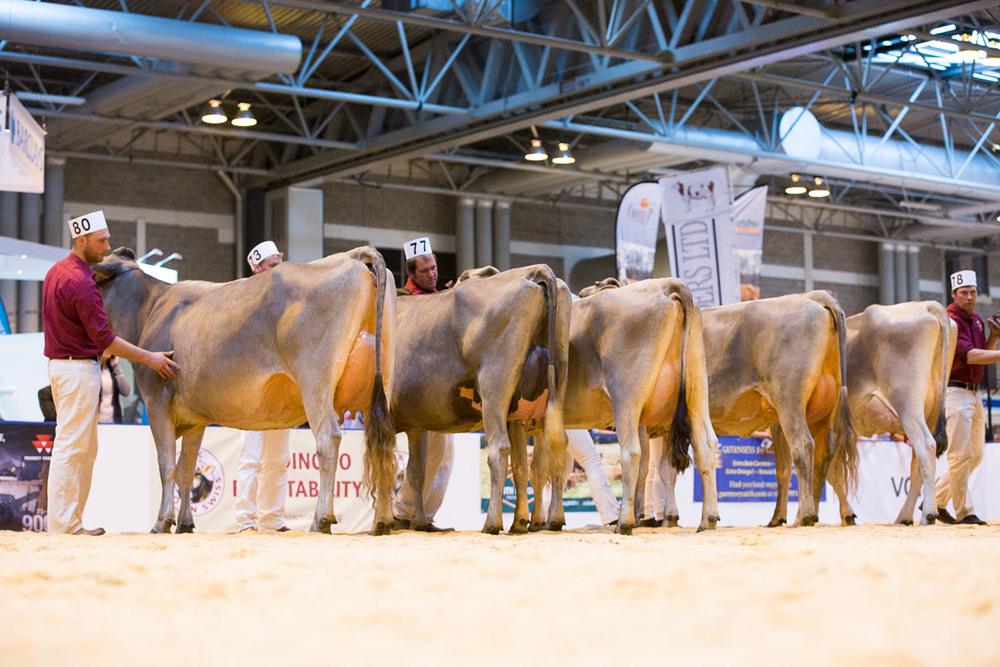 The previous dairy event, National Dairy Event, was scheduled to take place this September, replacing the association’s Livestock Event