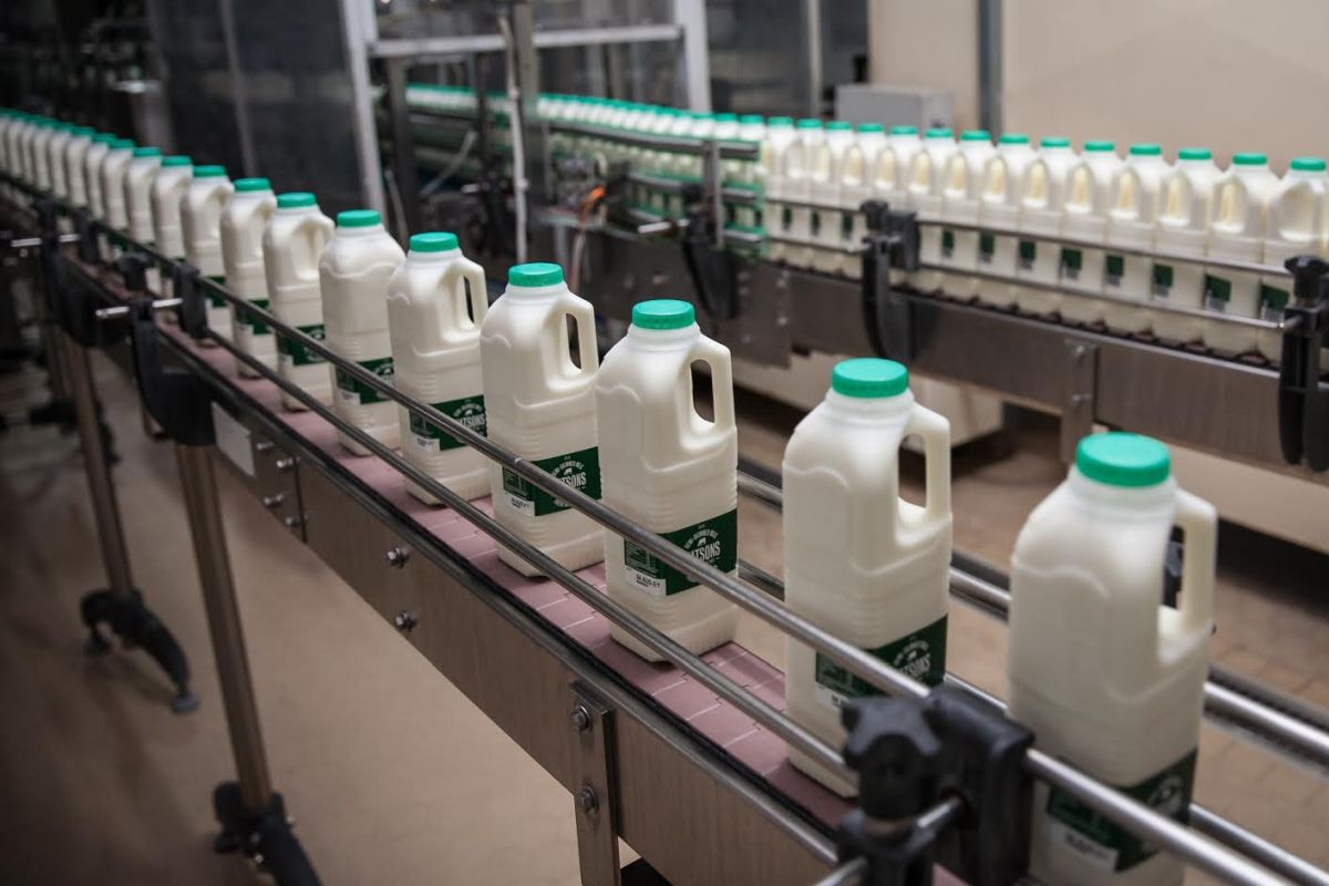 Medina Dairy announces £3.5 million investment programme