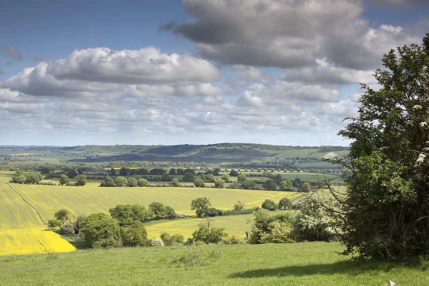 The Mid Tier of Countryside Stewardship offers five-year agreements for environmental improvements in the wider countryside