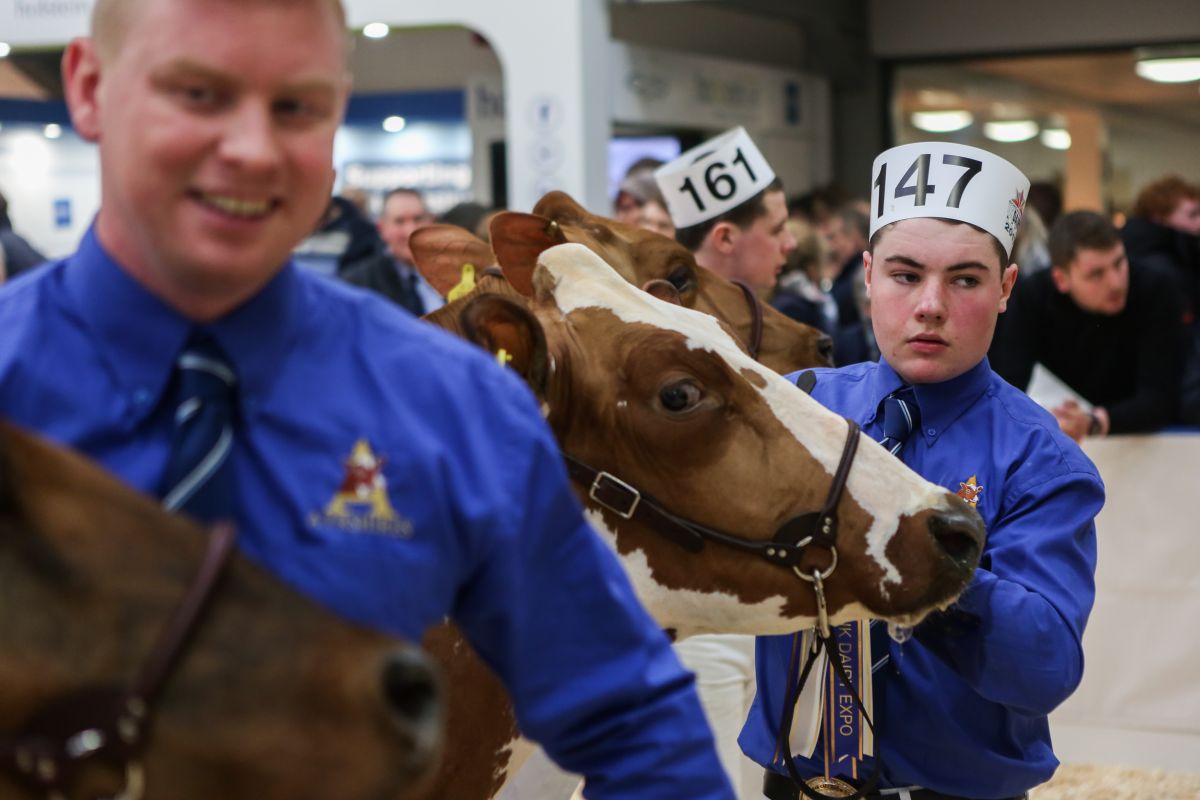 For the sixth year running, Harrison & Hetherington’s Borderway UK Dairy Expo was all set at the Borderway Exhibition Centre, Carlisle