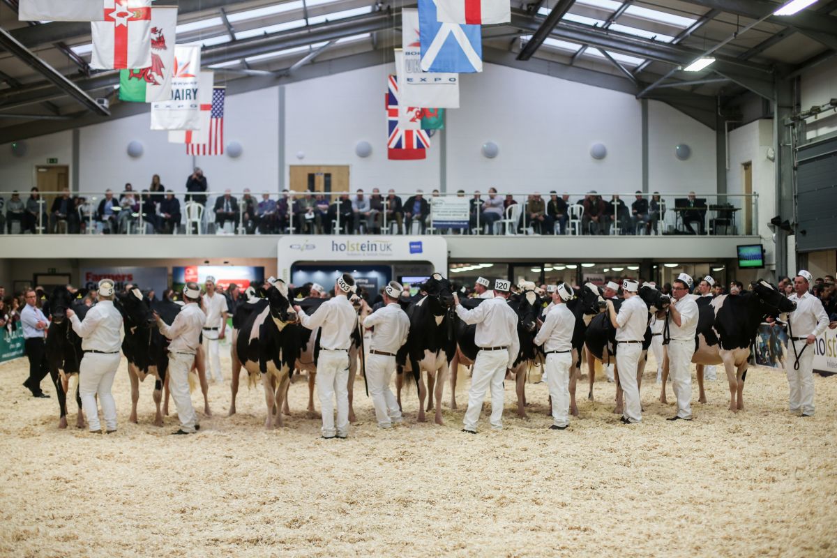 Judging the classes was a line-up of British and international judges