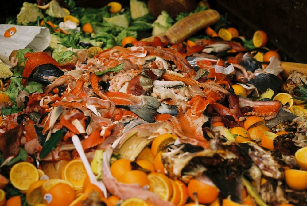 In the UK alone last year, over 10 million tonnes of food was thrown away