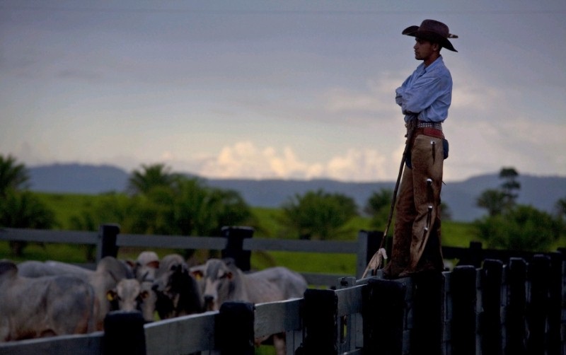 Brazil, the world’s biggest exporter of red meat, is at the centre of international attention due to a widespread beef scandal
