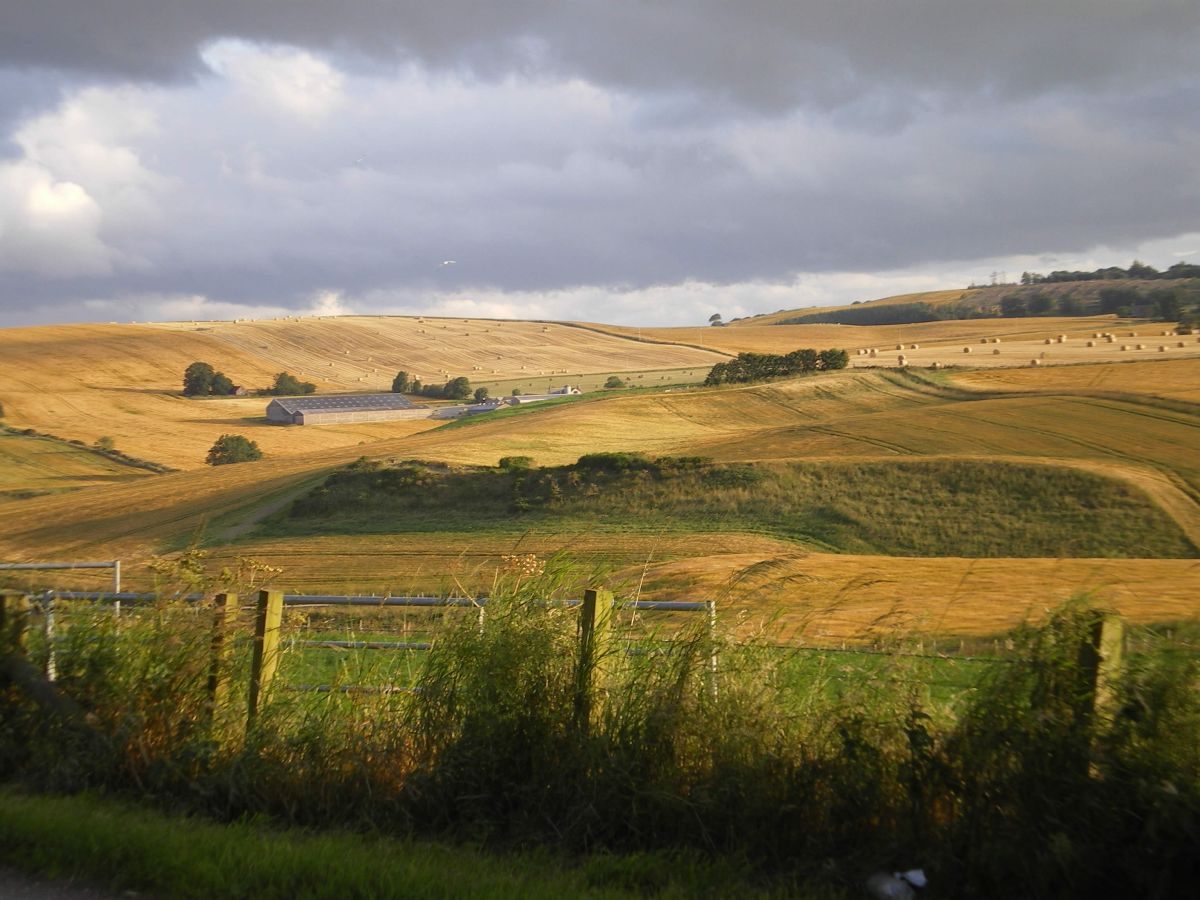 Tenant farmers involved in the long running Salvesen Riddell debacle have scored a partial victory