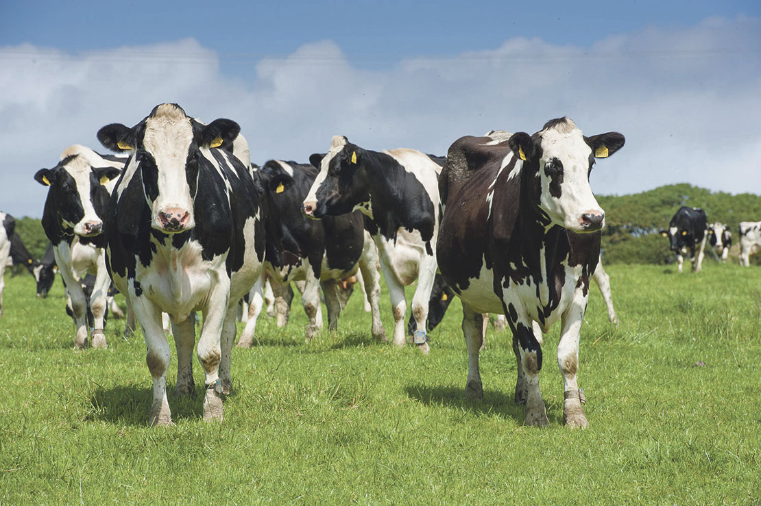The funding is targeted towards the hardest hit dairy farmers
