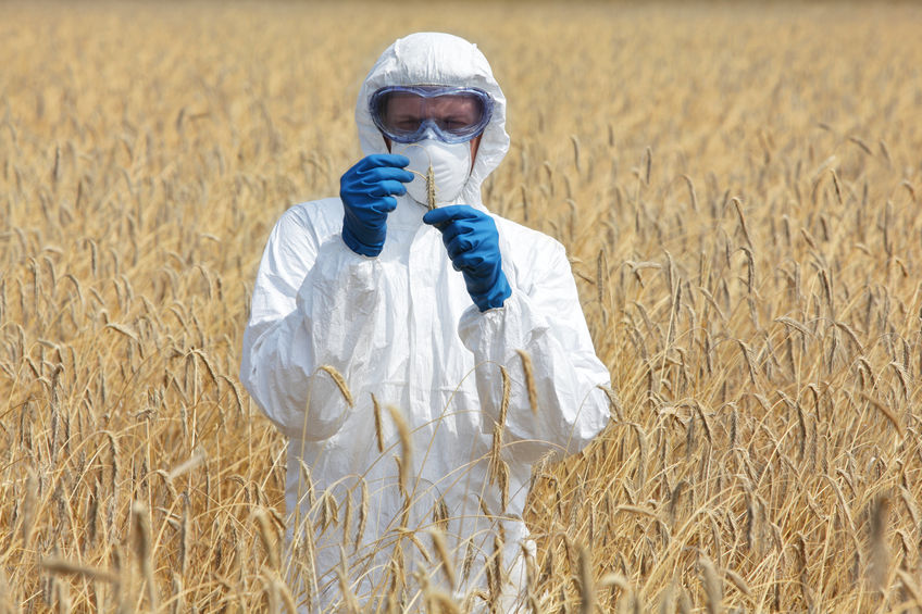 16 European nations have voted against the two new GMO crops 