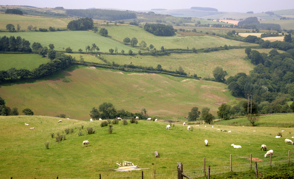 Just in time: £223m of rural development funding has been secured for Wales' farmers and rural communities